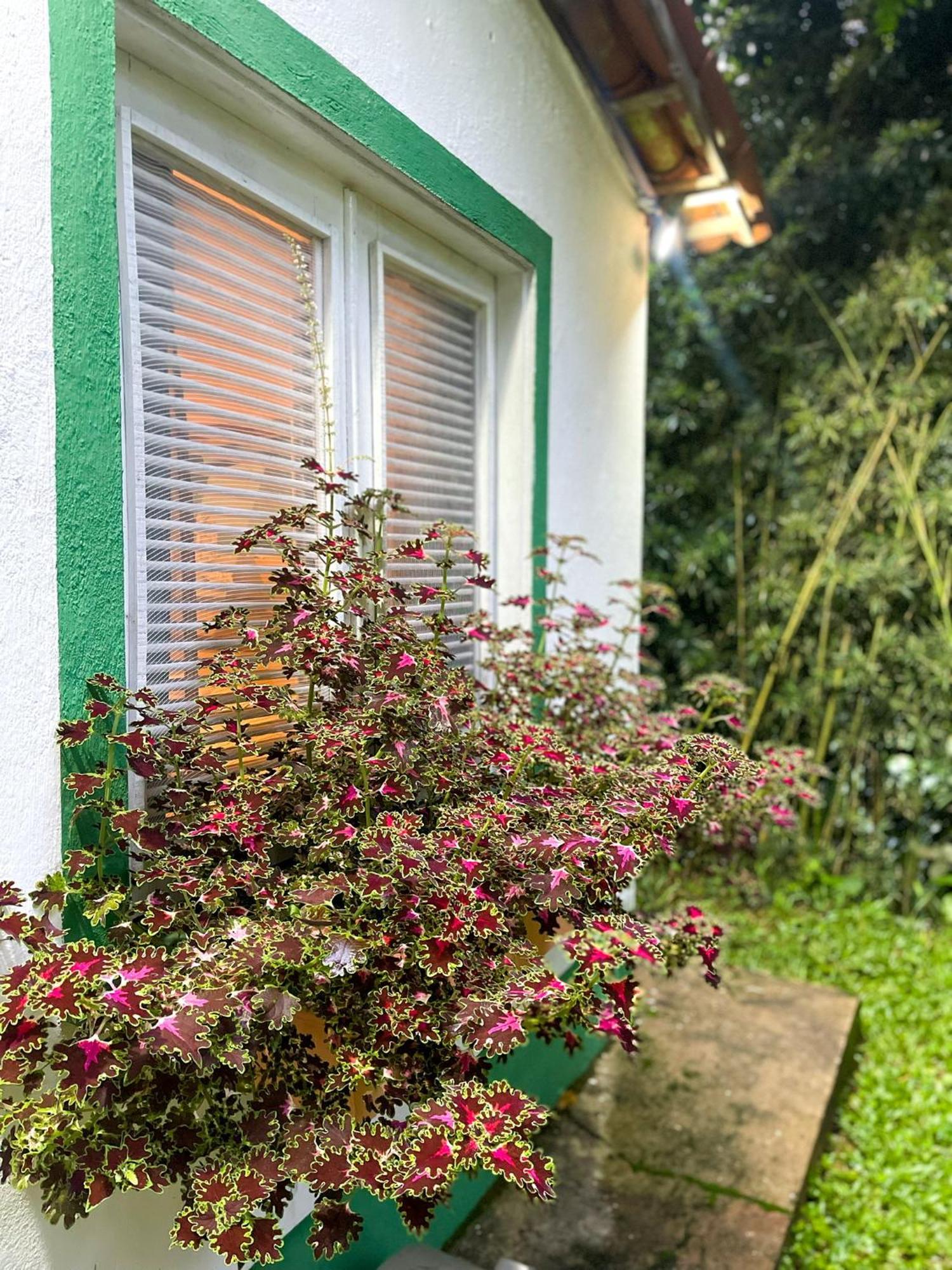 Olho D'Água Pousada Hotel Guaramiranga Exterior foto